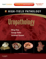High-Yield Uropathology